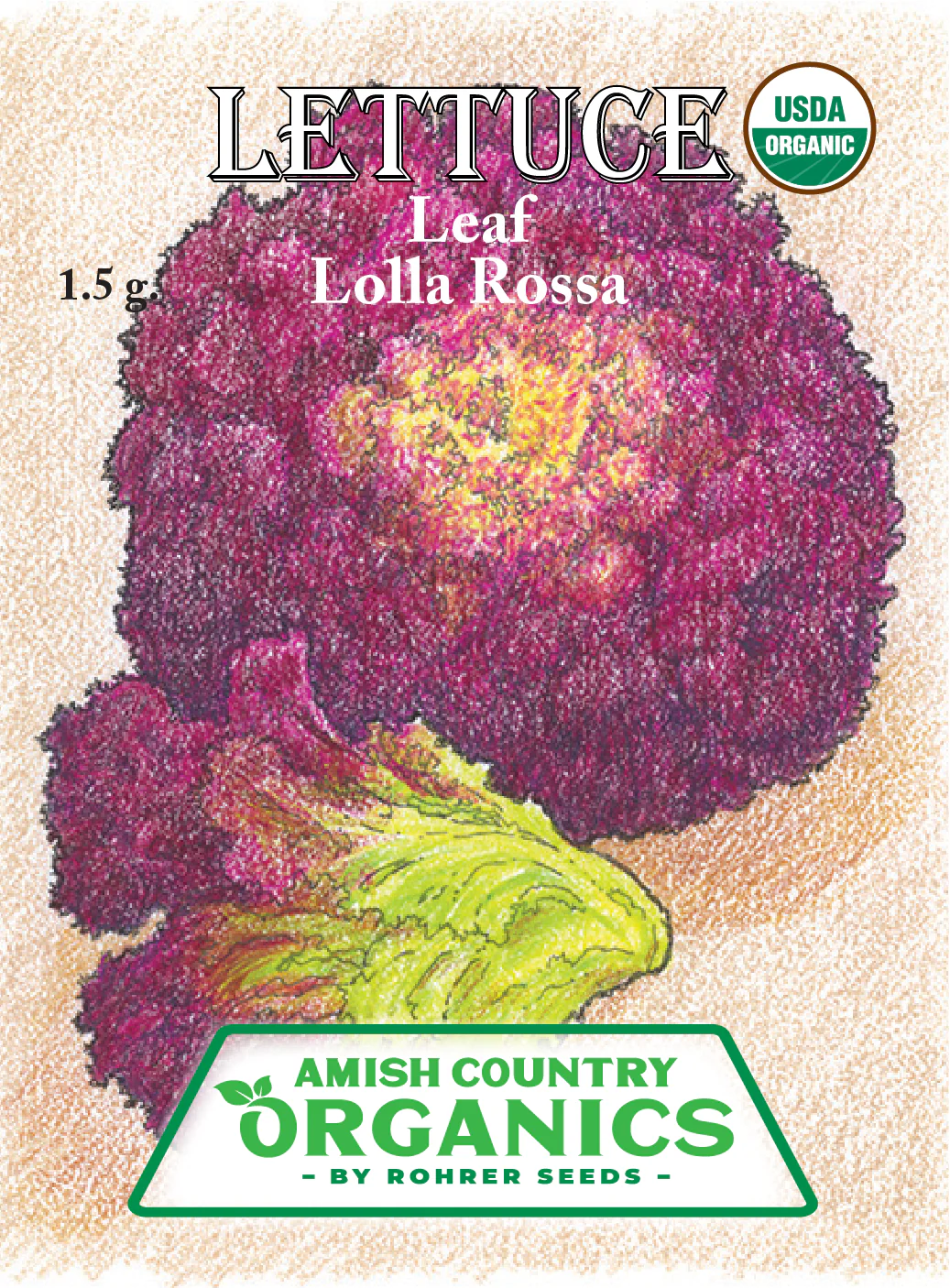 Organic Lettuce Seed - USDA Lolla Rossa (1000 Seeds) - Image 2
