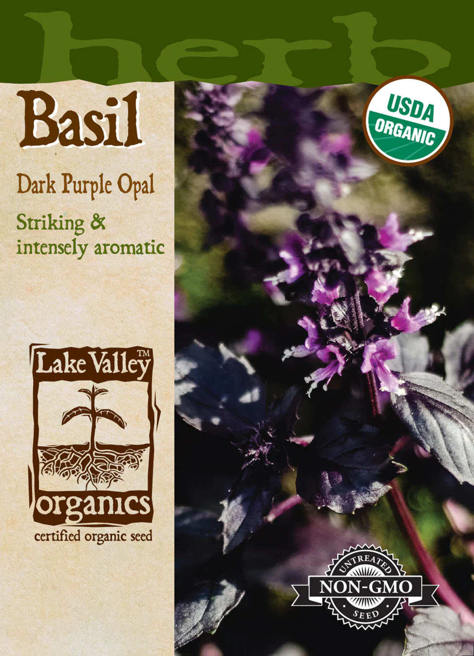 Organic Purple Dark Opal Basil