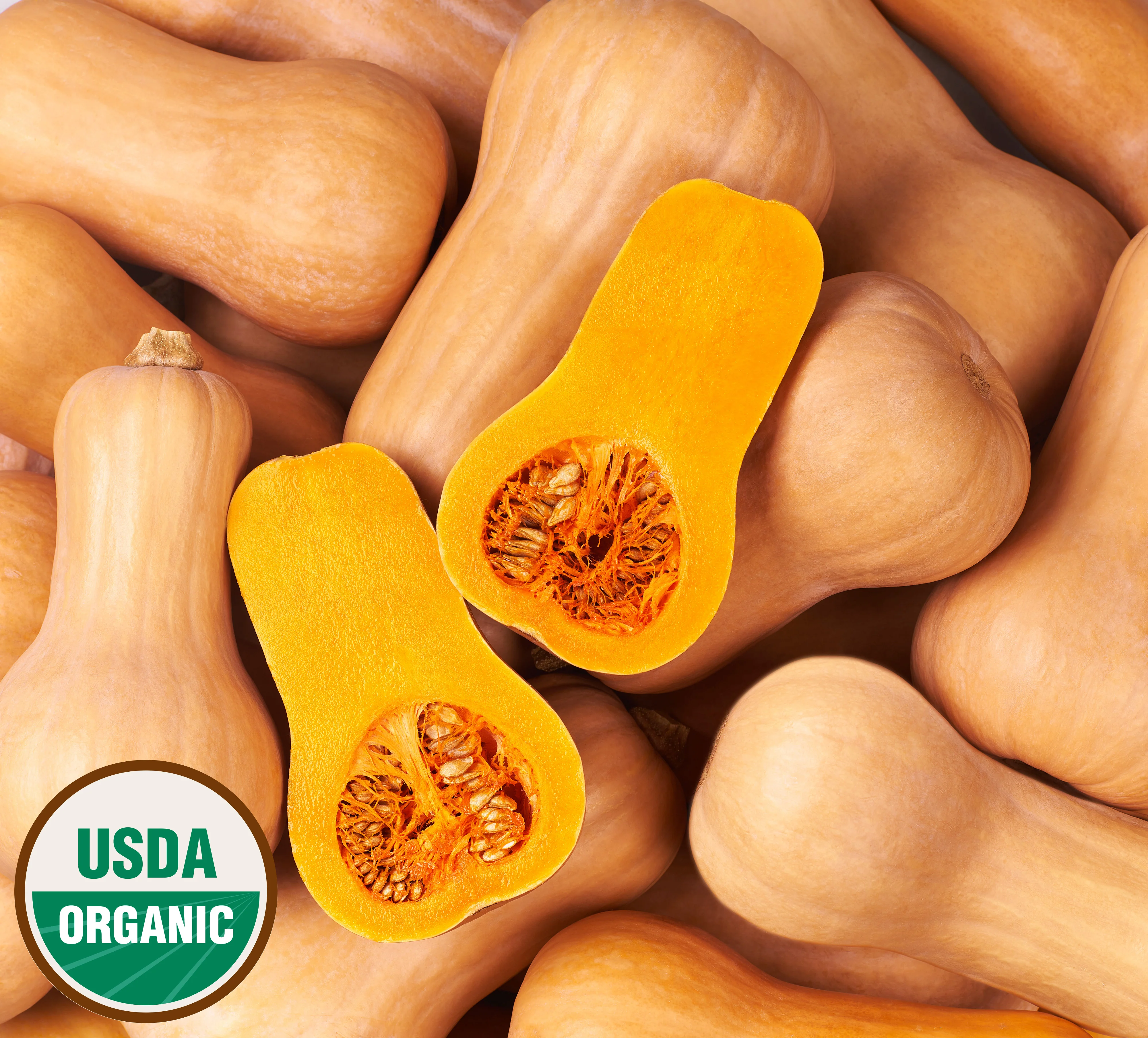 Organic Squash Seeds - USDA Waltham Butternut (30 Seeds)