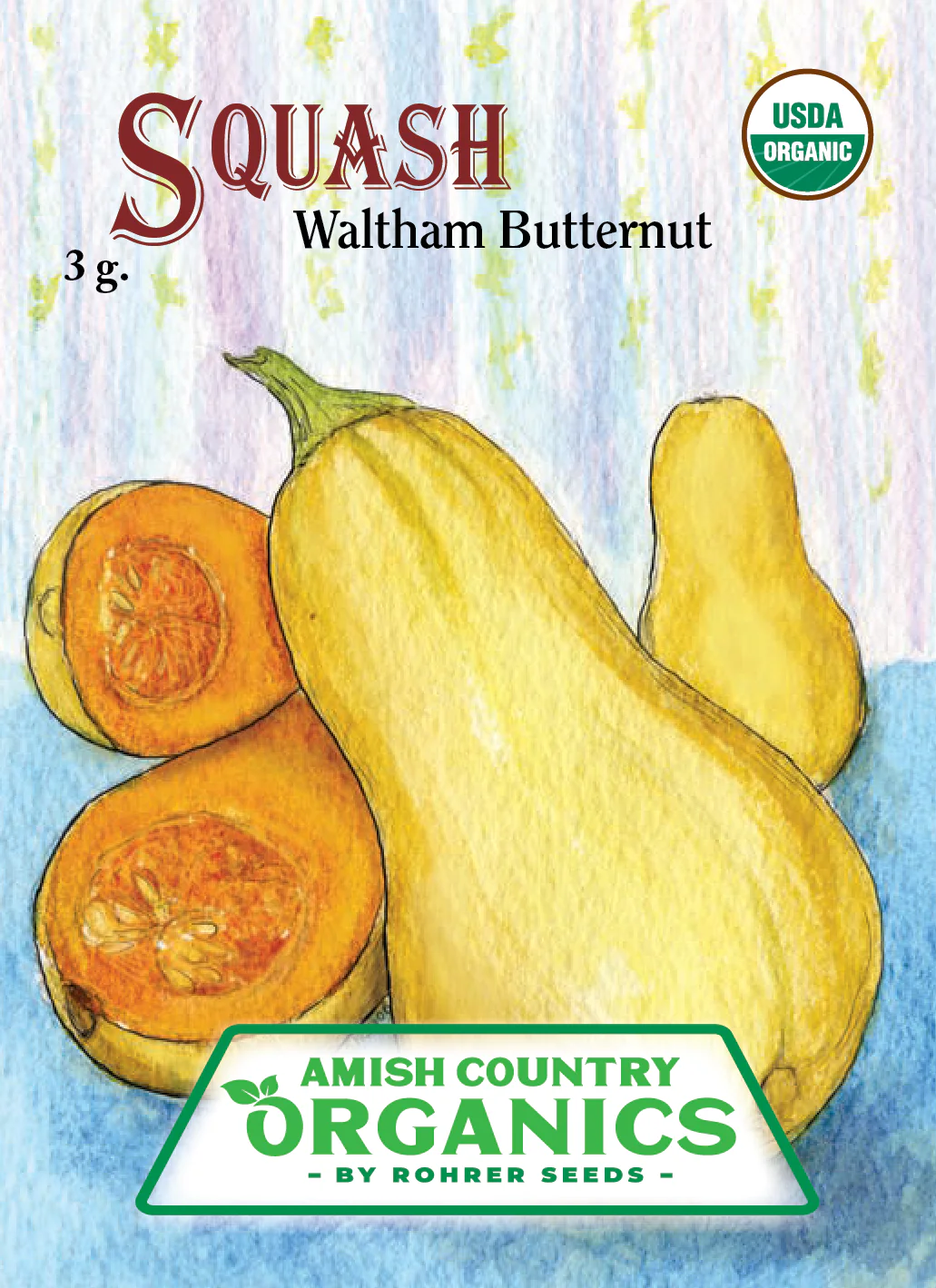 Organic Squash Seeds - USDA Waltham Butternut (30 Seeds) - Image 2