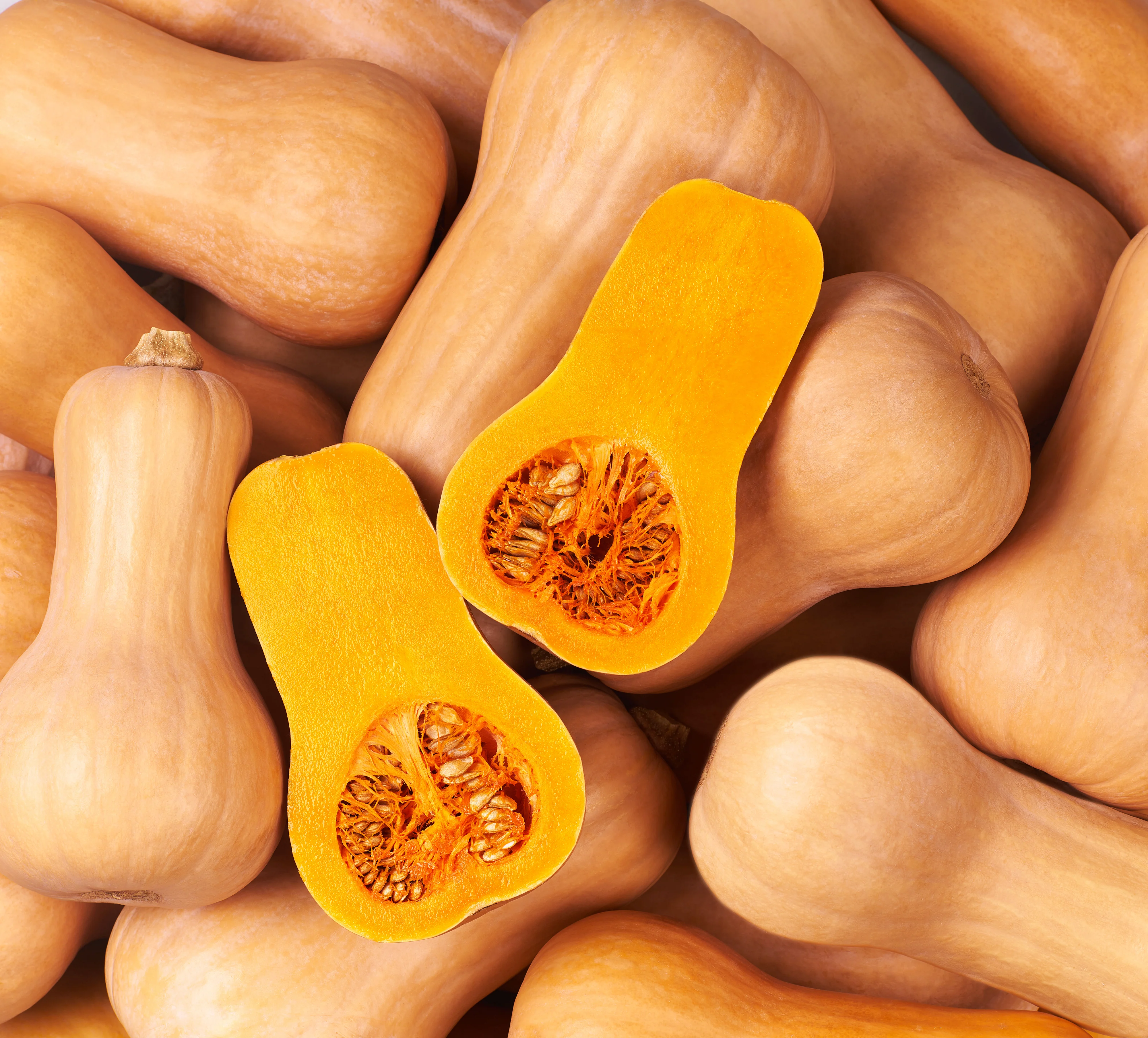 Organic Squash Seeds - USDA Waltham Butternut (30 Seeds) - Image 3
