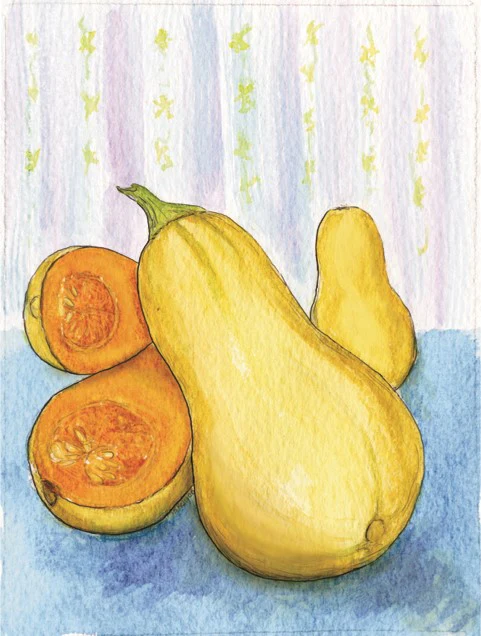 Organic Squash Seeds - USDA Waltham Butternut (30 Seeds) - Image 4