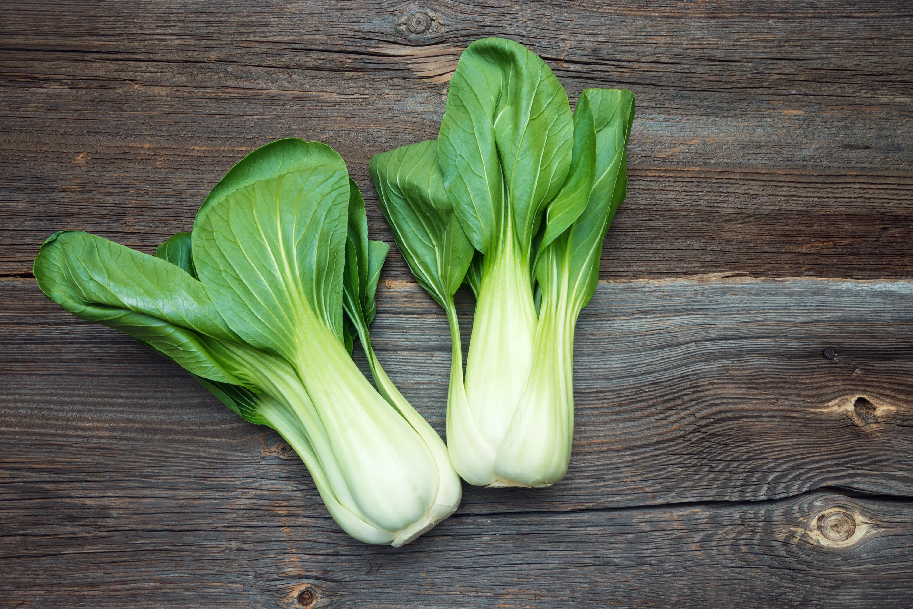 Pak Choi Cabbage Seeds