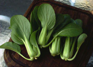Pak Choi Green Fortune F1 Cabbage