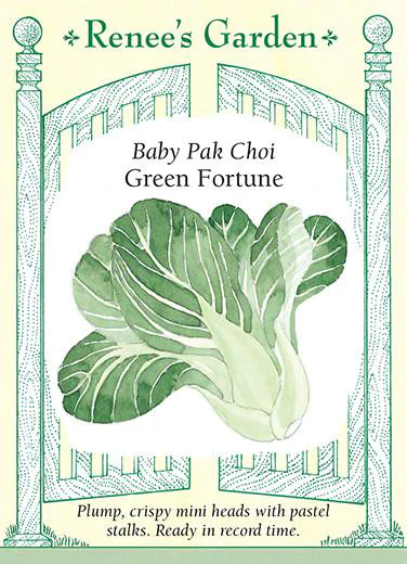 Pak Choi Green Fortune F1 Cabbage - Image 2