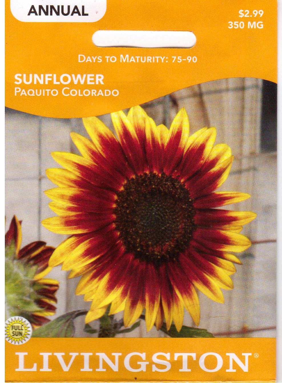 Paquito Colorado Sunflower