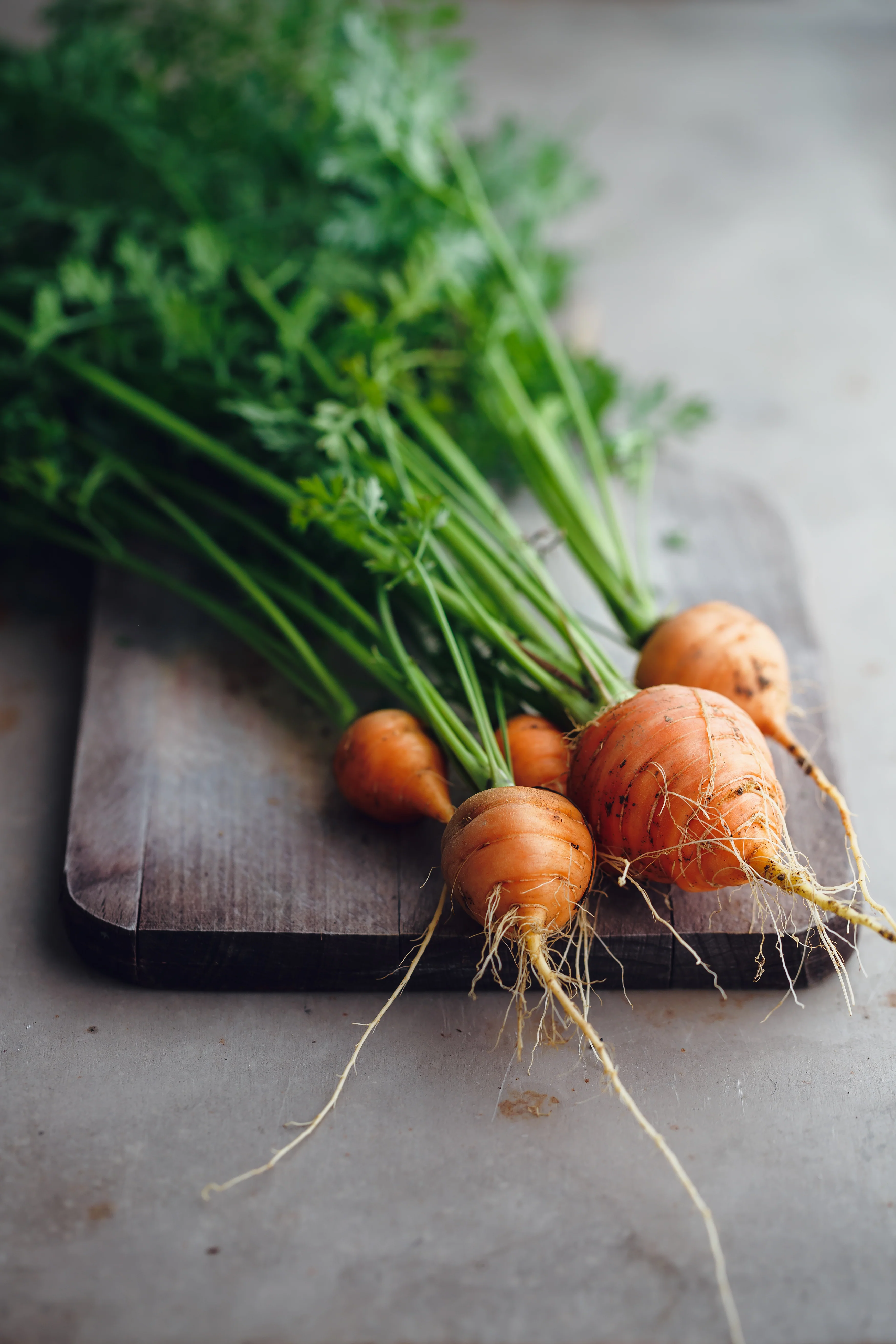Parisian Carrot Seeds