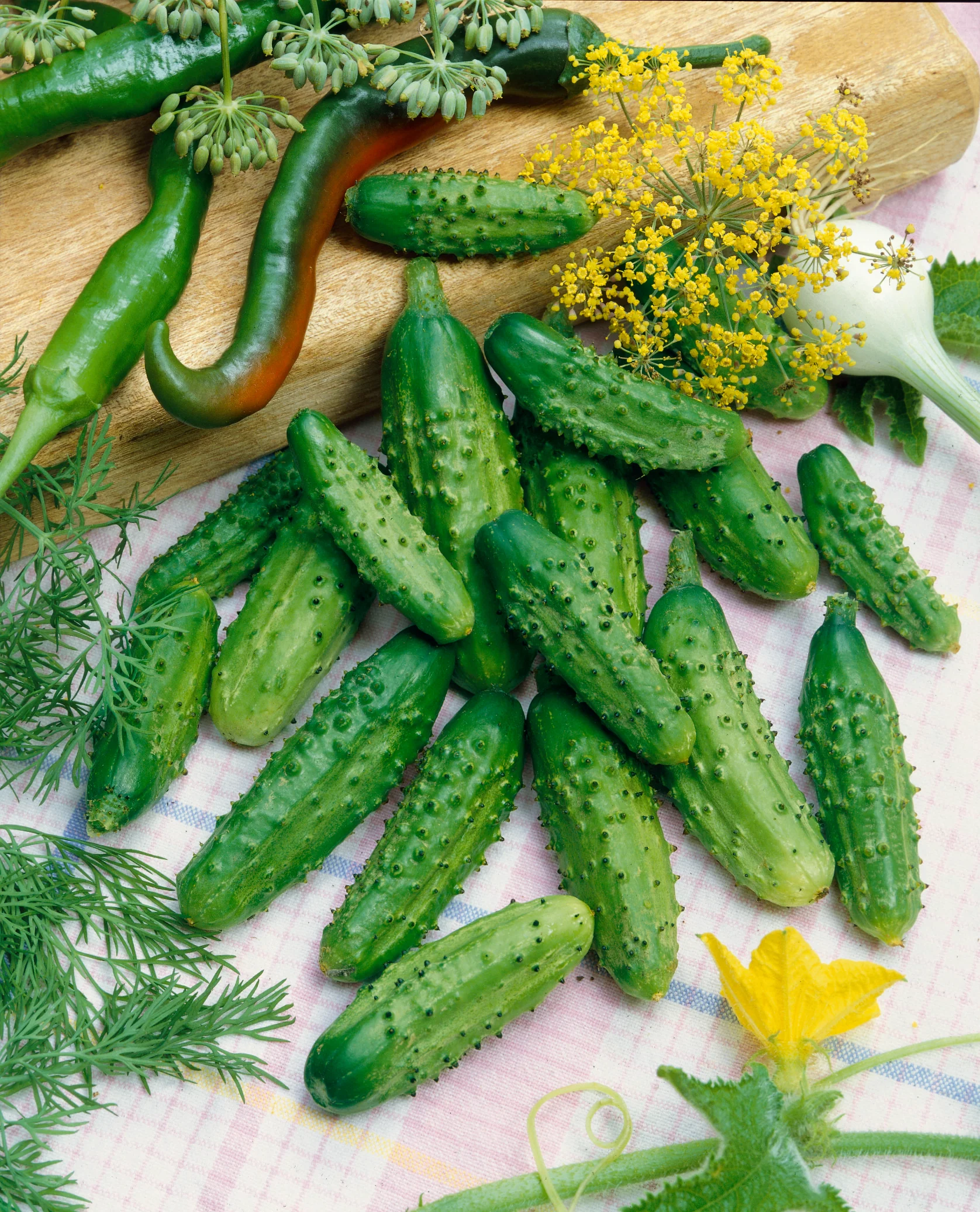 Parisian Gherkin Cucumber (25 seeds), Container Collection
