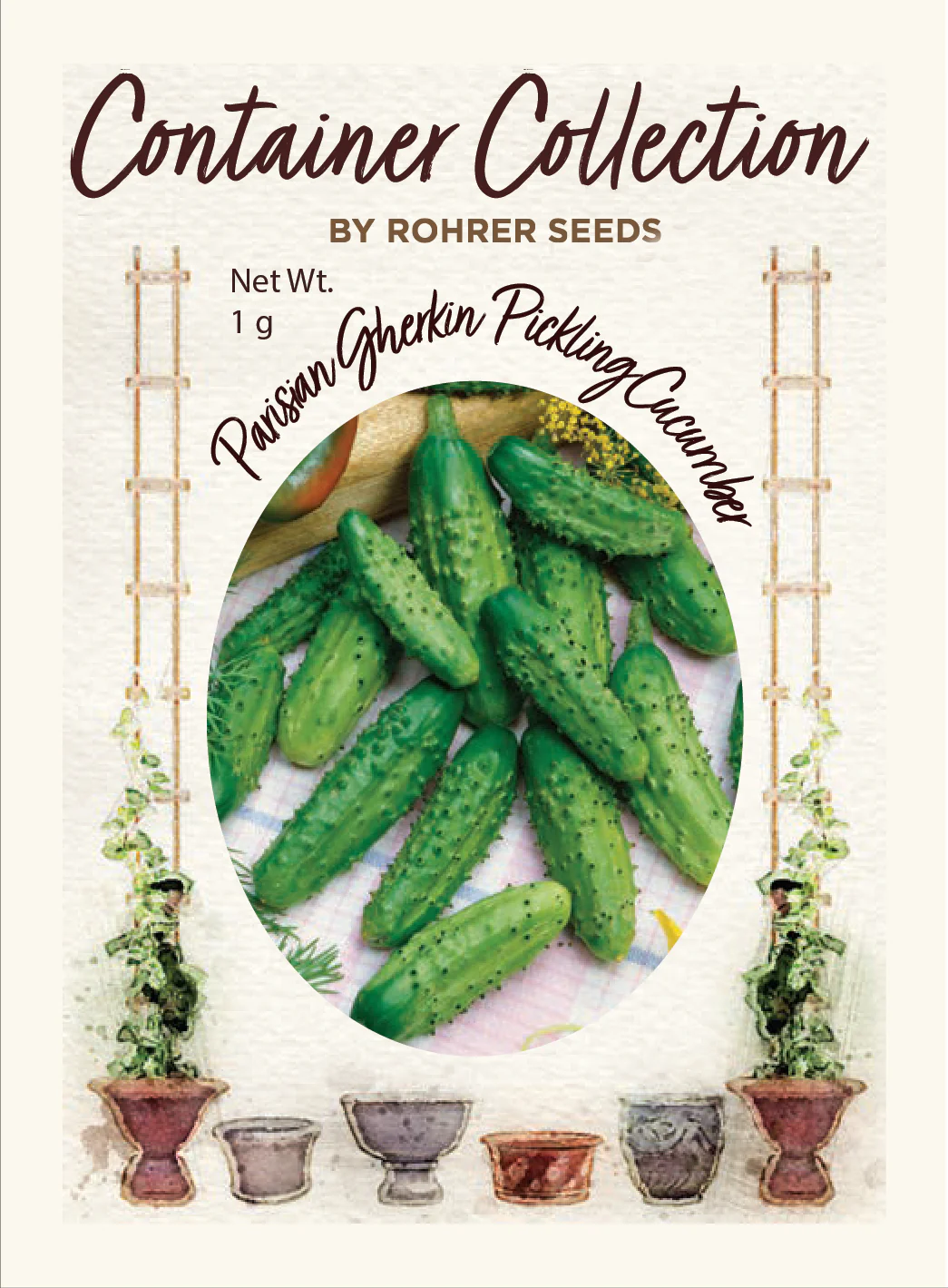 Parisian Gherkin Cucumber (25 seeds), Container Collection - Image 2