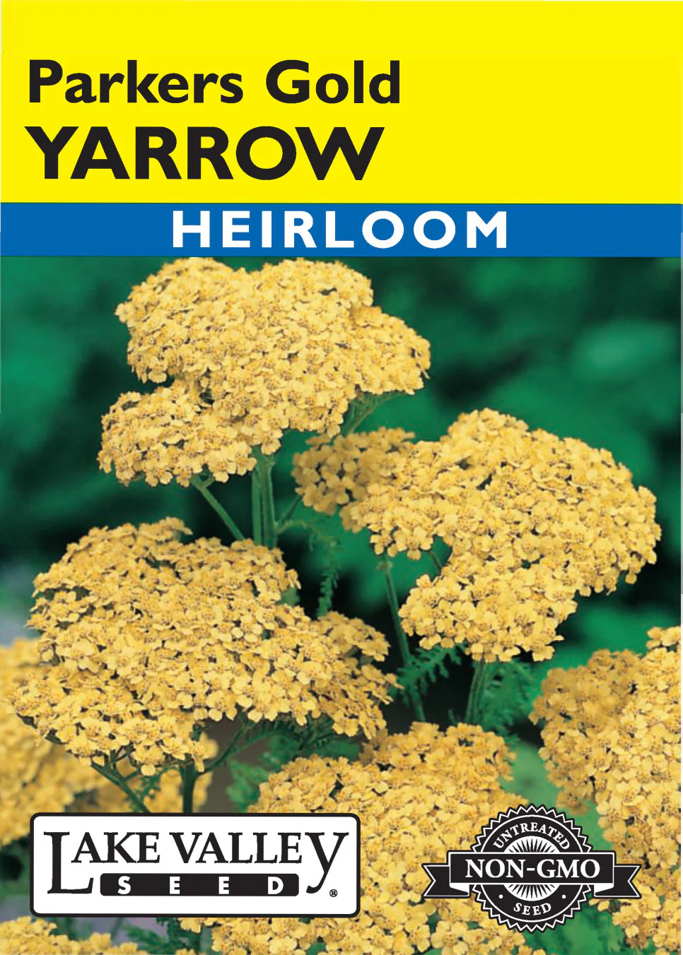 Parkers Gold Yarrow