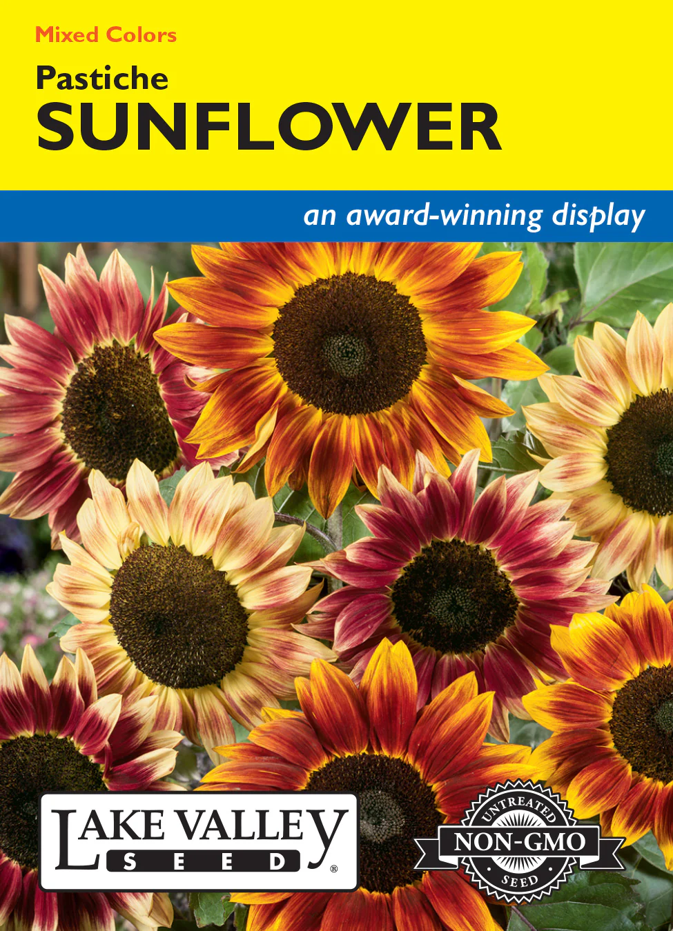 Pastiche Sunflower