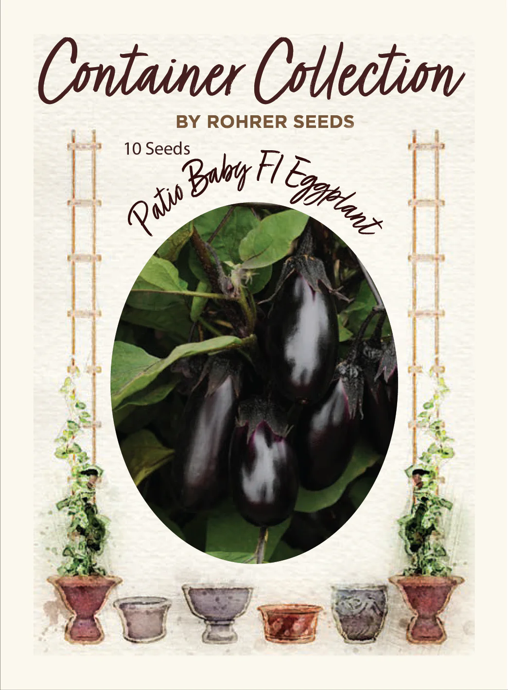 Patio Baby F1 Hybrid Eggplant (10 seeds), Container Collection - Image 2