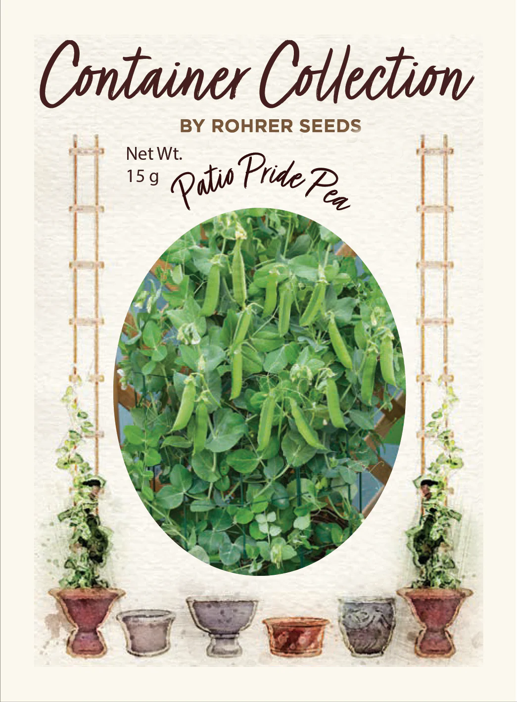 Patio Pride Pea (60 seeds), Container Collection - Image 2