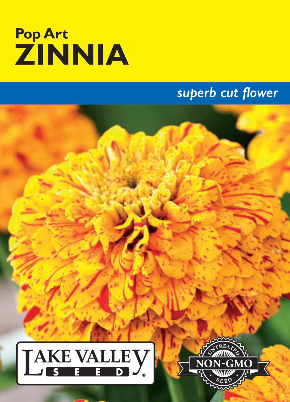 Pop Art Zinnia