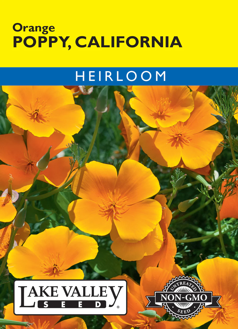 California Orange Poppy