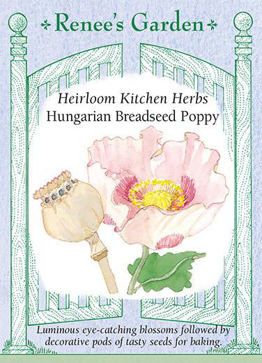 Hungarian Breadseed Poppy - Image 2