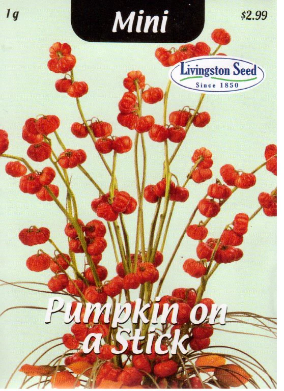 Pumpkin-on-a-stick