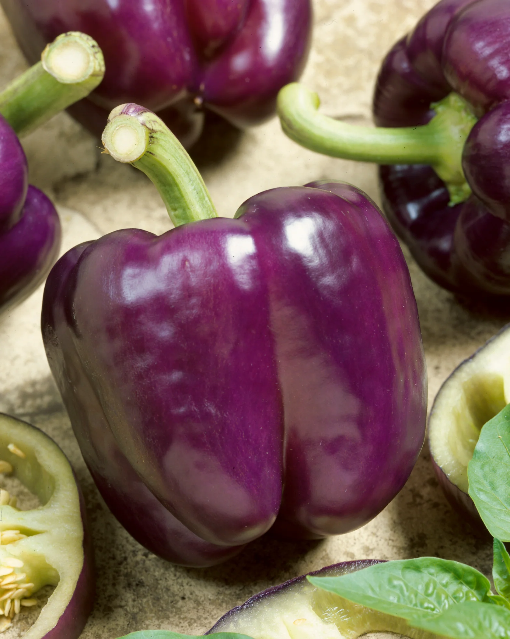 Purple Beauty Bell Pepper (50 seeds), Container Collection