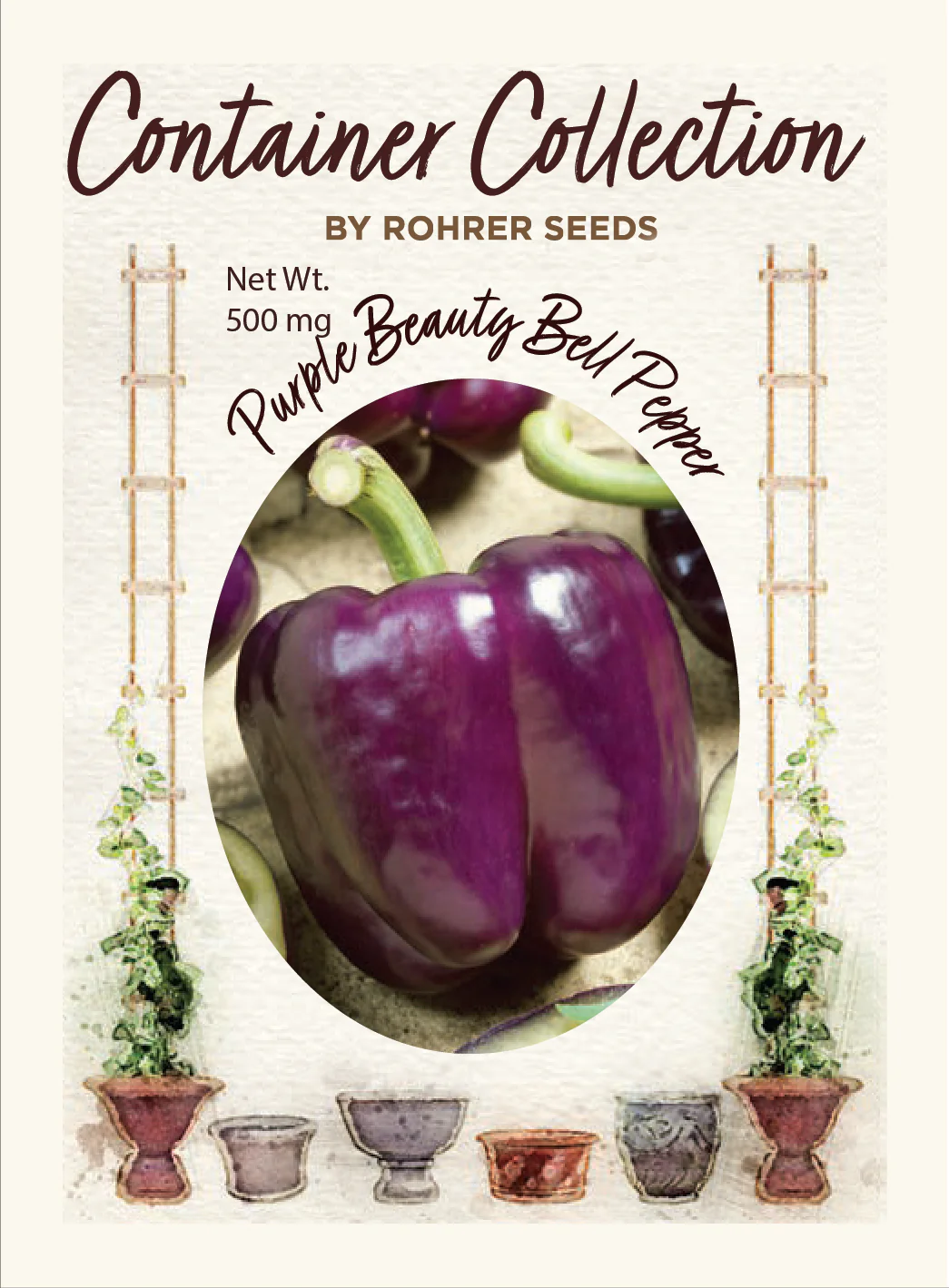 Purple Beauty Bell Pepper (50 seeds), Container Collection - Image 2