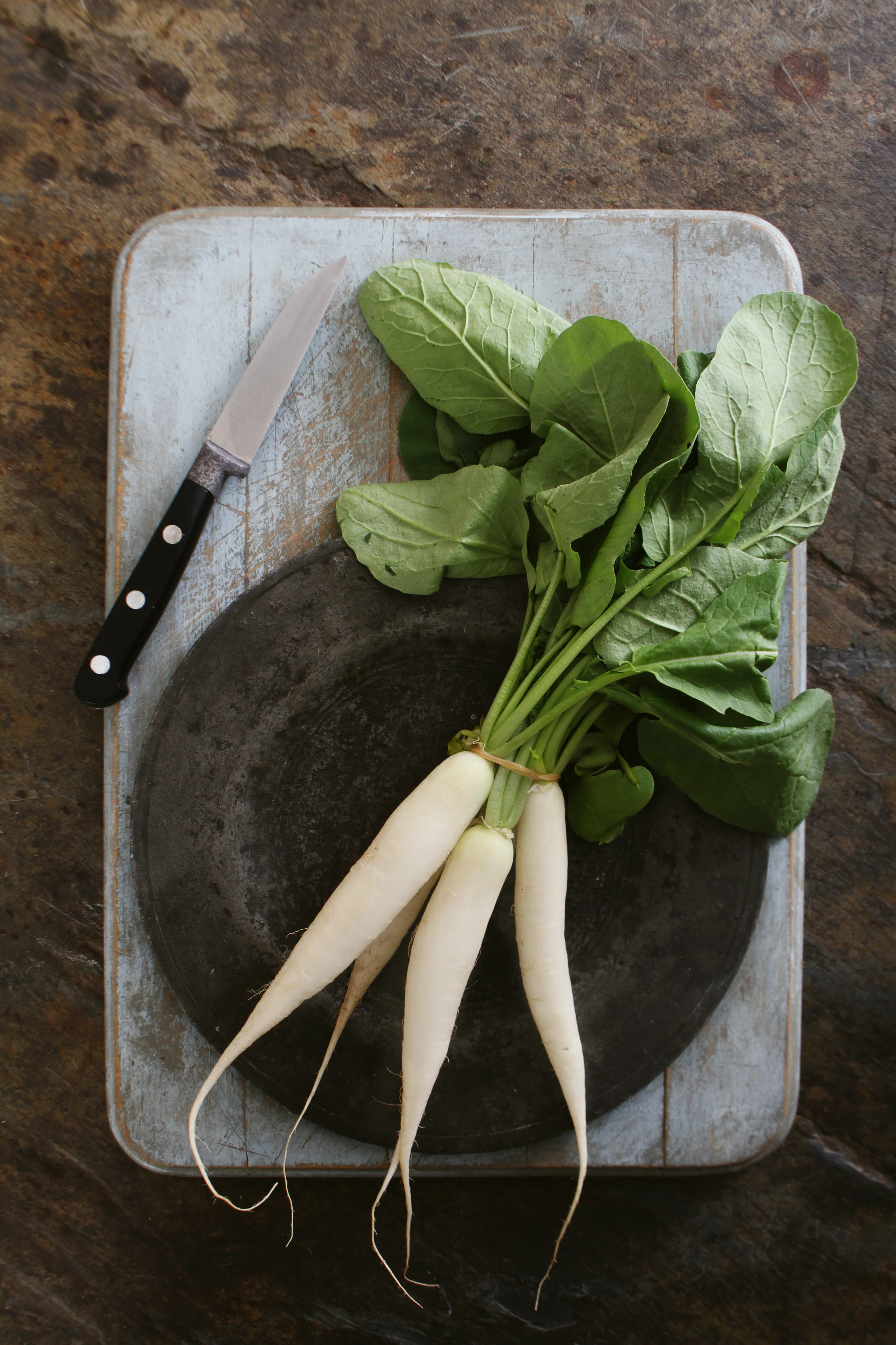 Radish Gourmet Seed Mixture - Image 3