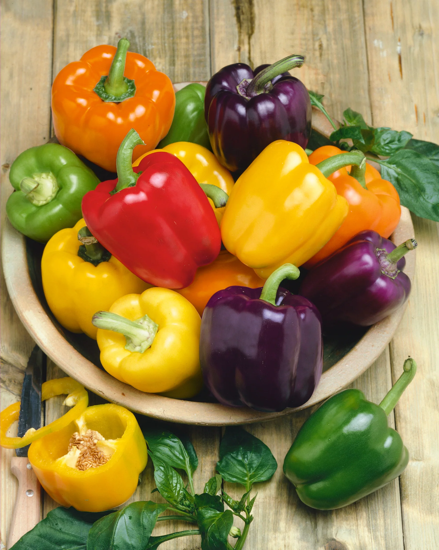 Rainbow Blend Bell Pepper (50 seeds), Container Collection