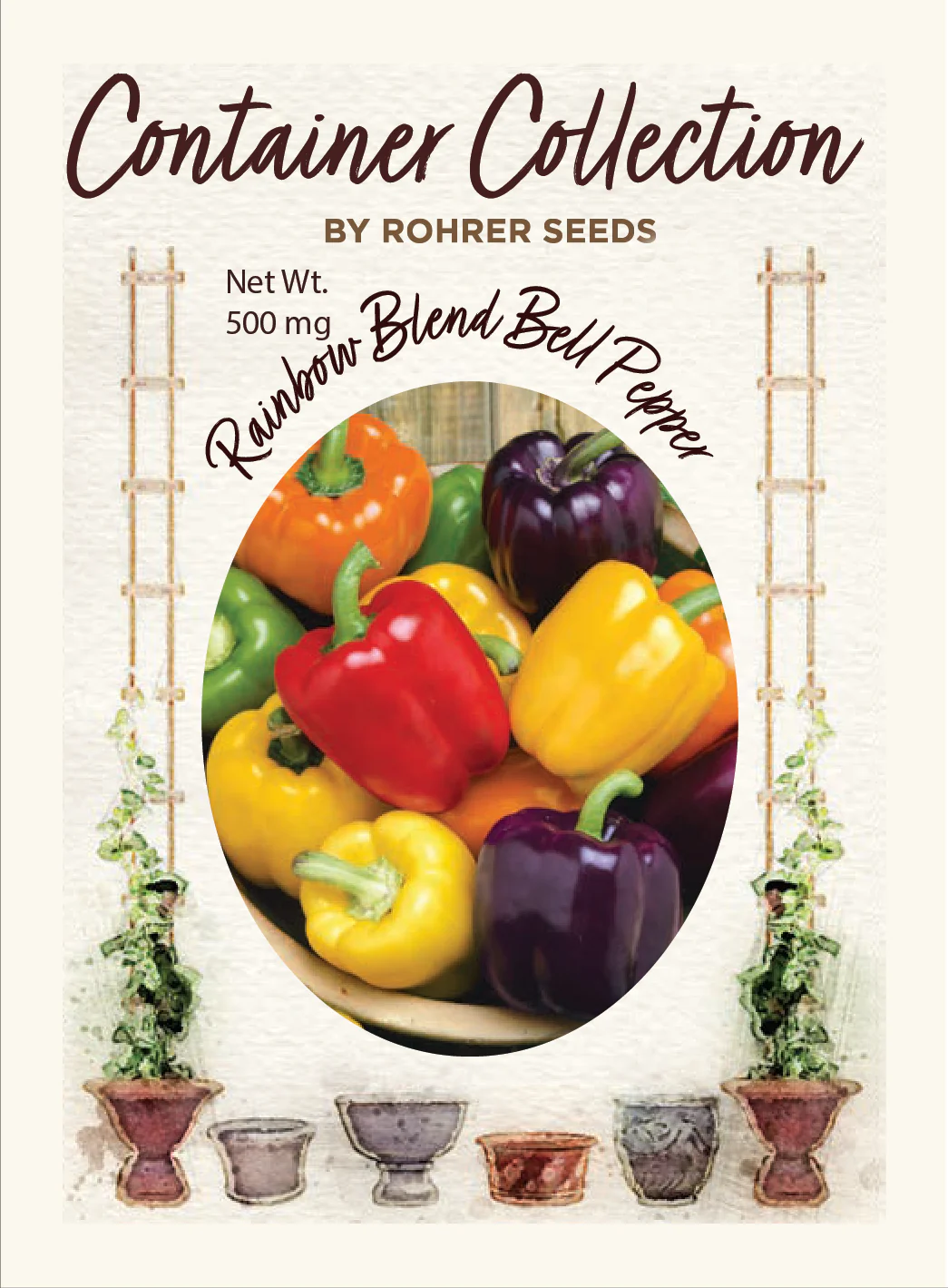 Rainbow Blend Bell Pepper (50 seeds), Container Collection - Image 2