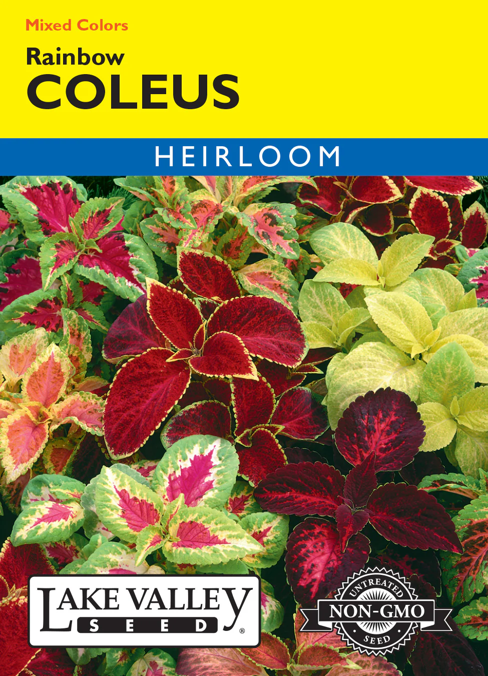 Rainbow Mix Coleus