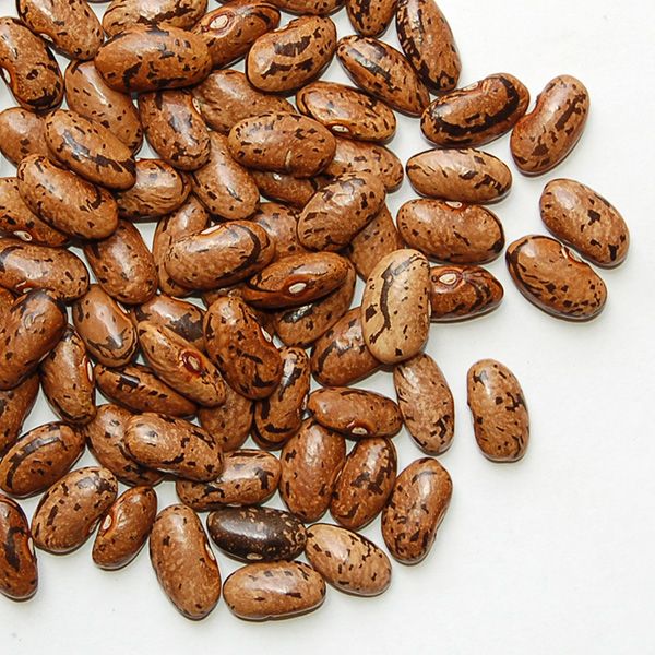 Rattlesnake Pole Bean - Image 4