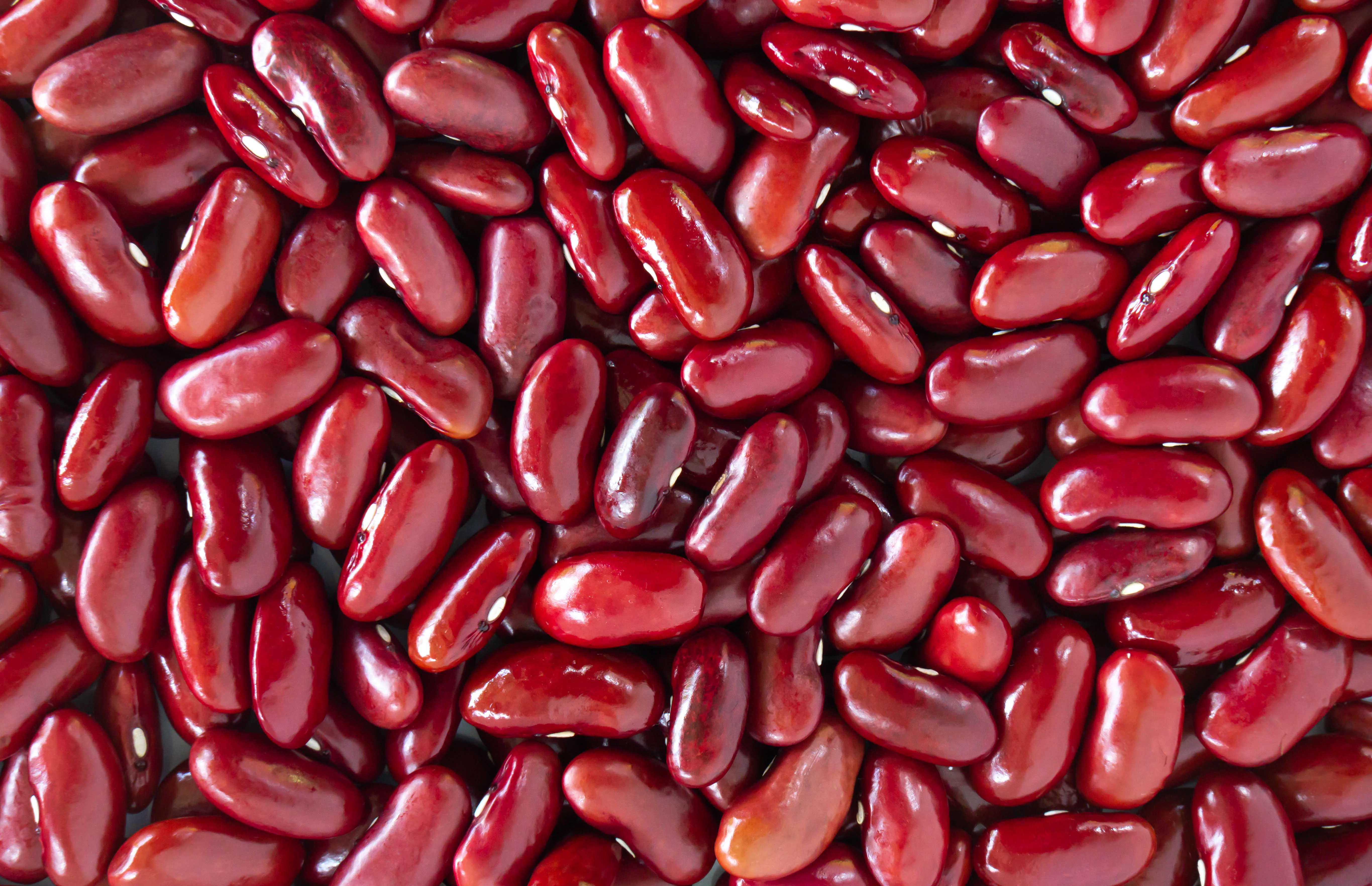 Red Kidney Bean Seeds