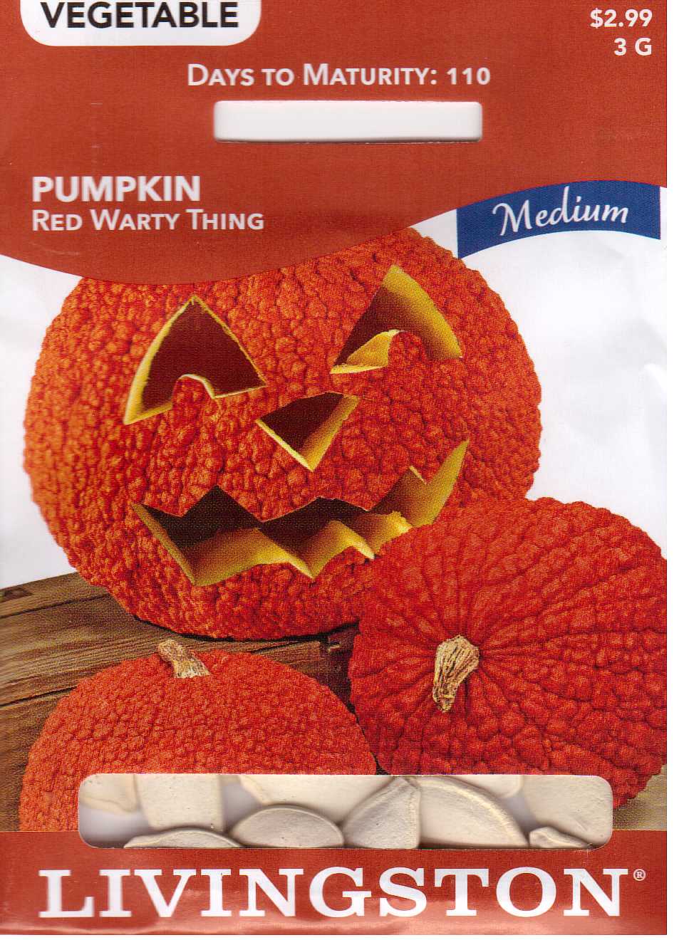 Red Warty Pumpkin
