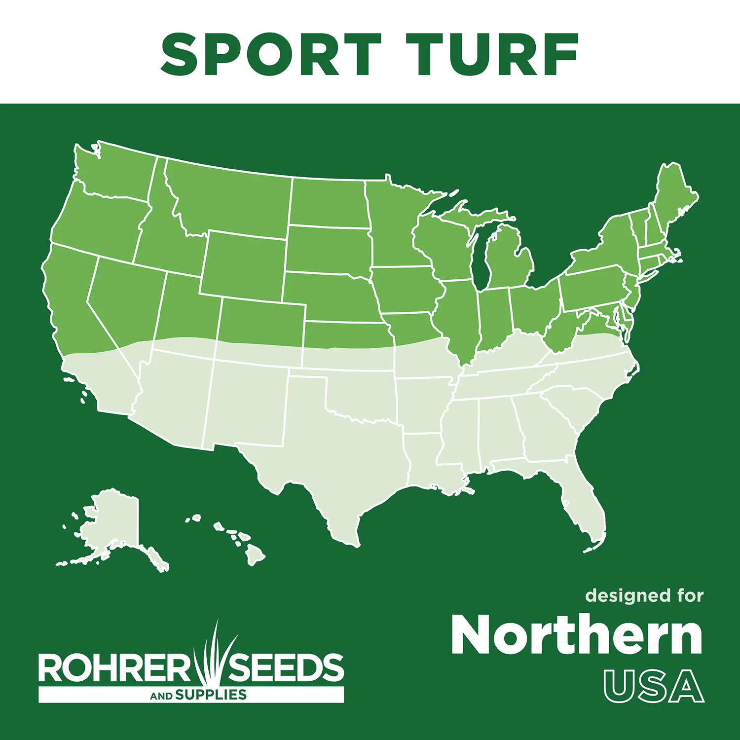Sport Turf Rye Grass Seed Blend - Image 4