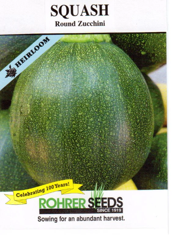Round Zucchini Squash Seeds - Image 2
