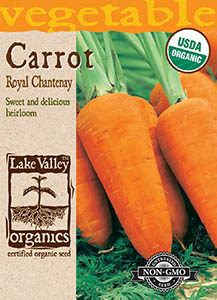 Organic Royal Chantenay Carrot