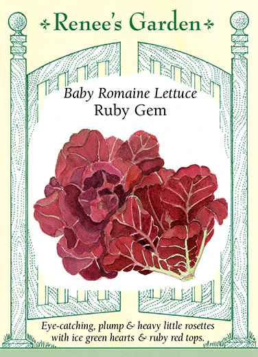 Ruby Gem Romaine Lettuce - Image 2