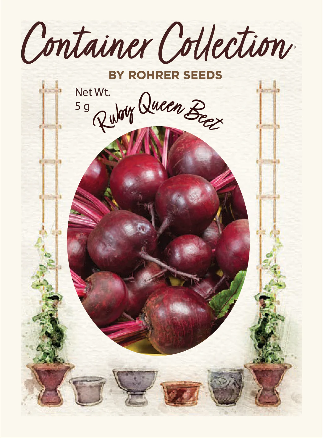 Ruby Queen Beet (200 seeds), Container Collection - Image 2