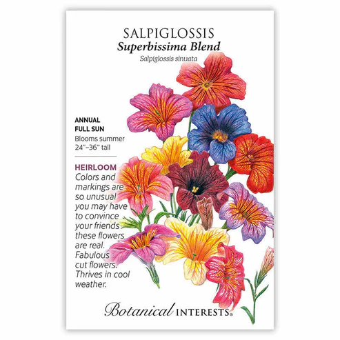 Salpiglossis Superbissima Blend