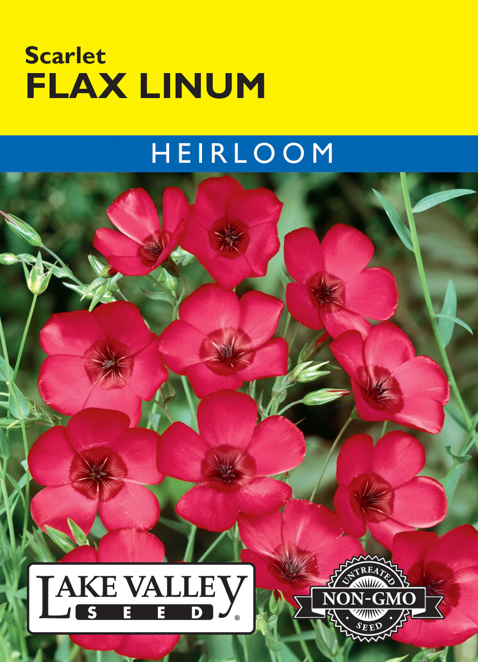 Scarlet Flax