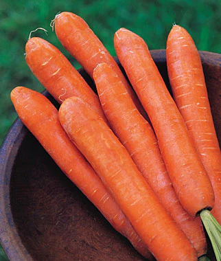 Nantes Half Long Carrot - Seed Tape
