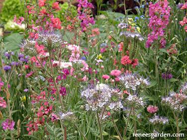 Pollinator Flowers Scatter Can