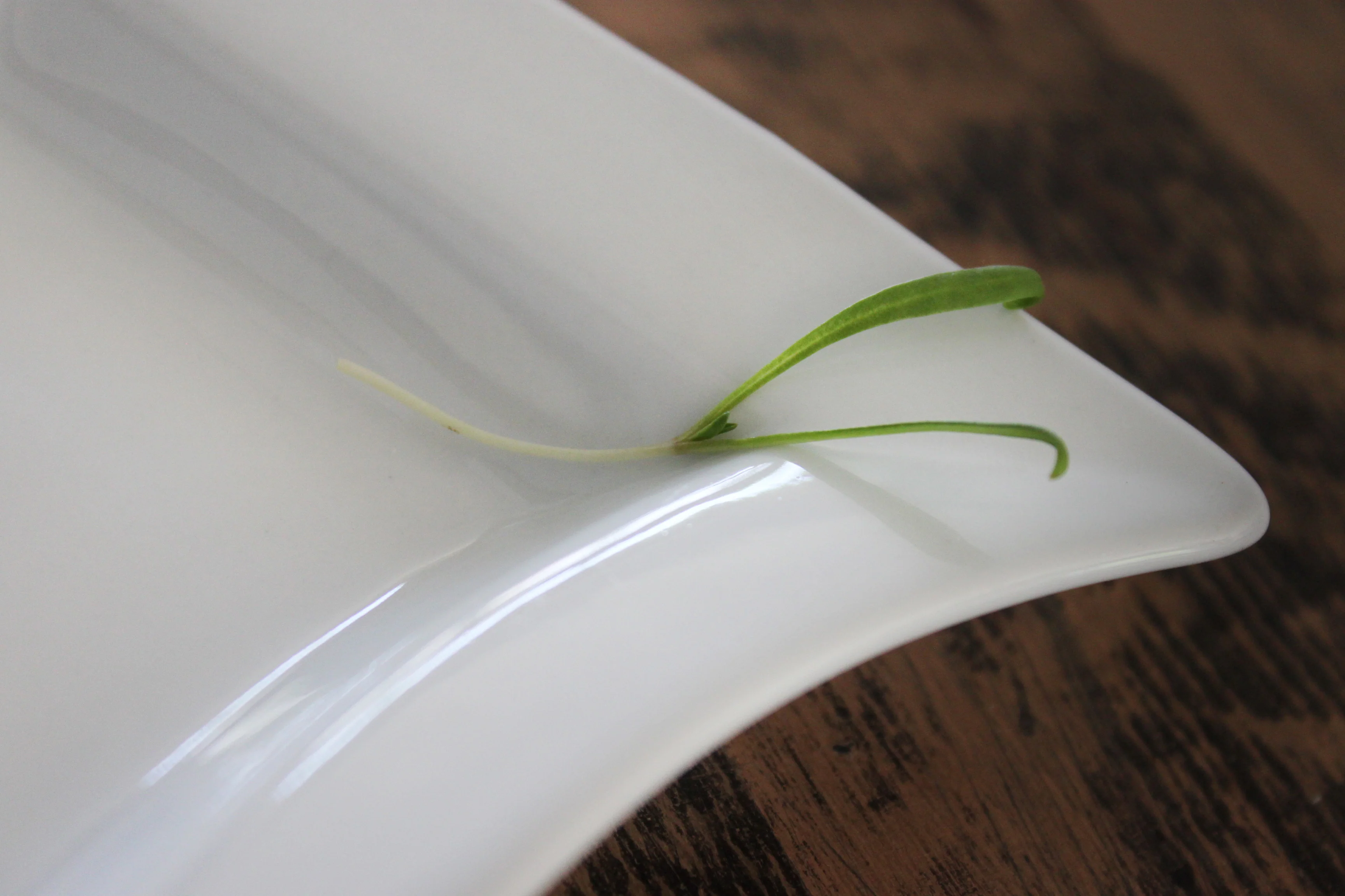 Seaside Baby Leaf Hybrid Spinach Seeds - Image 3