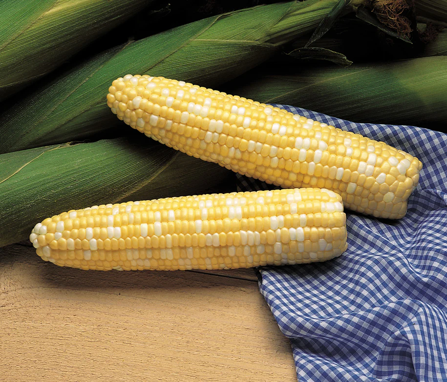 Serendipity Sweet Corn Seeds