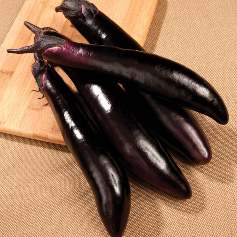 Shikou Hybrid Eggplant Seeds - Image 2