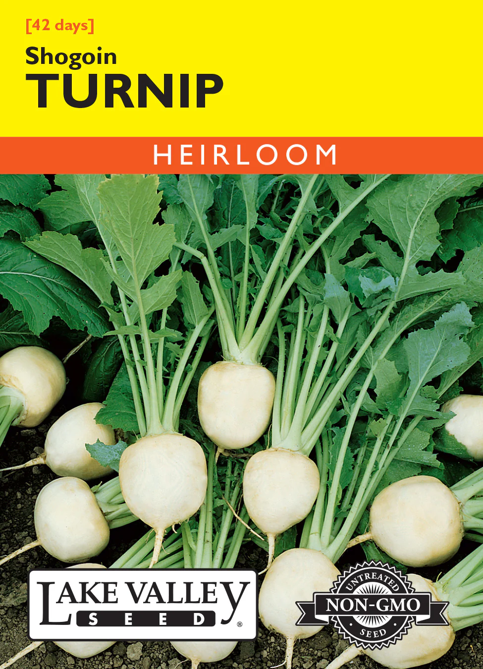 Shogoin Oriental Turnip
