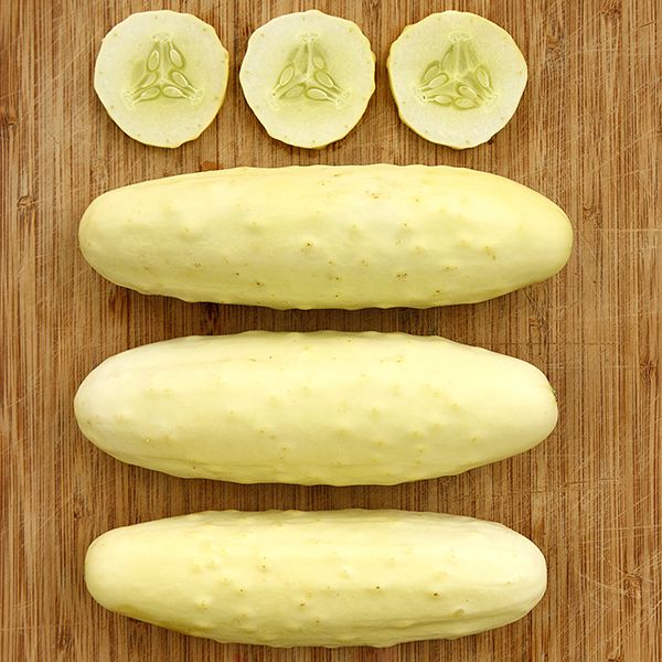Silver Slicer Cucumber