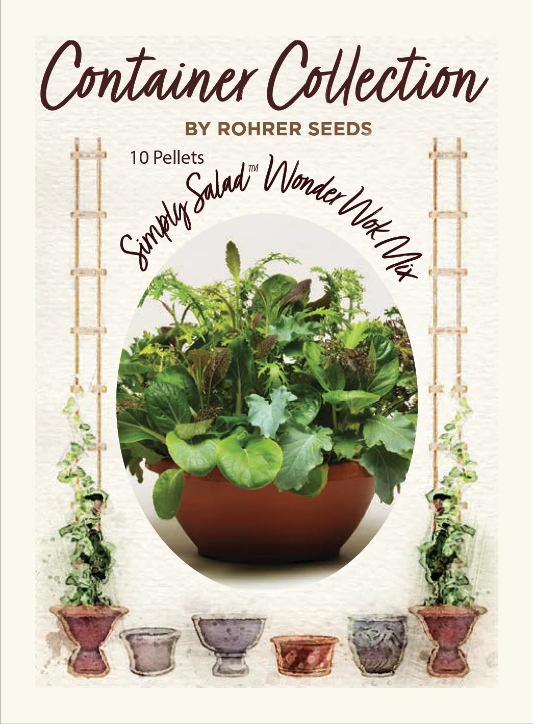 Simplysalad Wonder Wok Mix (10 seeds), Container Collection - Image 2
