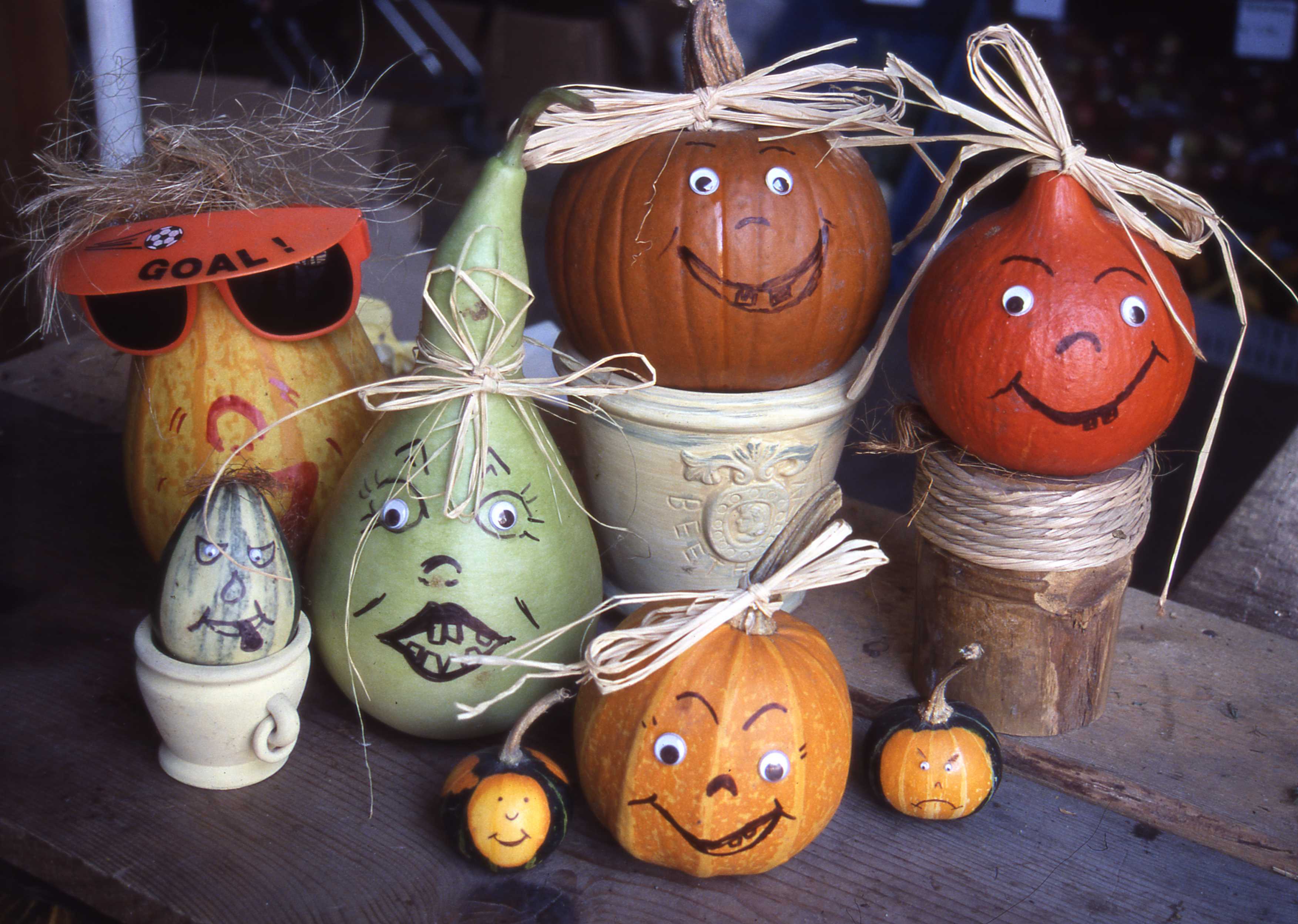 Small Fruited Mixed Gourd Seeds - Image 3