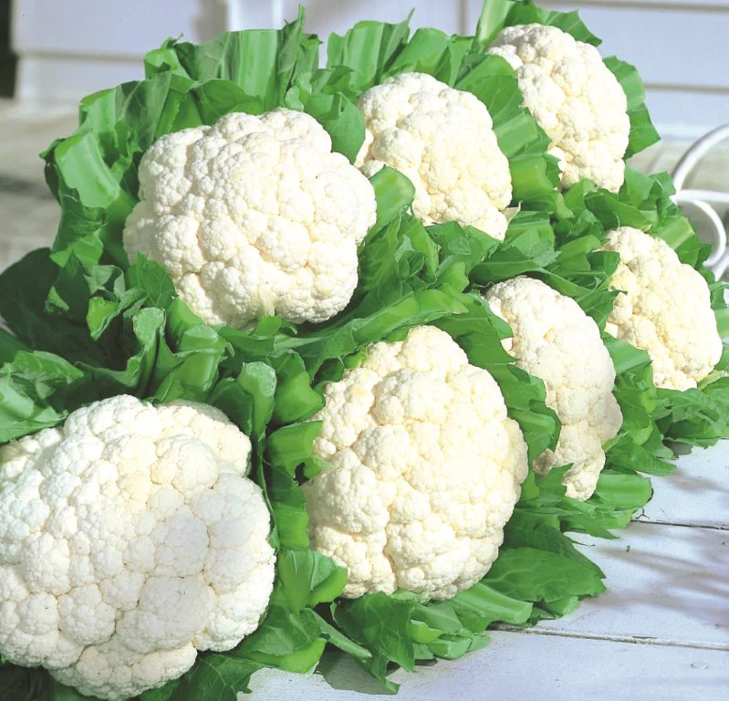 Snow Crown Hybrid Cauliflower Seeds