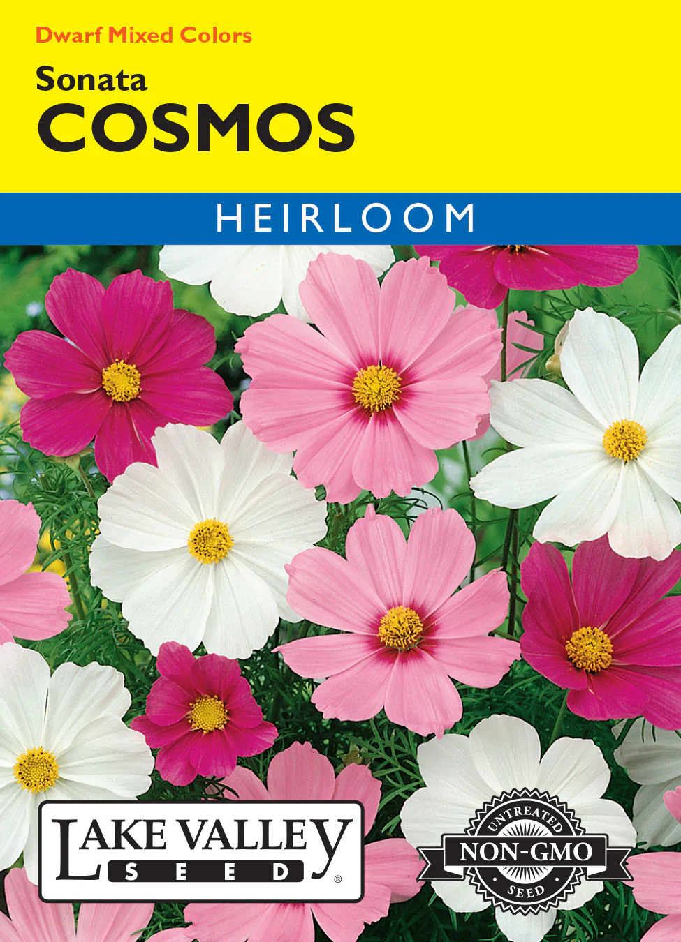 Sonata Dwarf Mix Cosmos