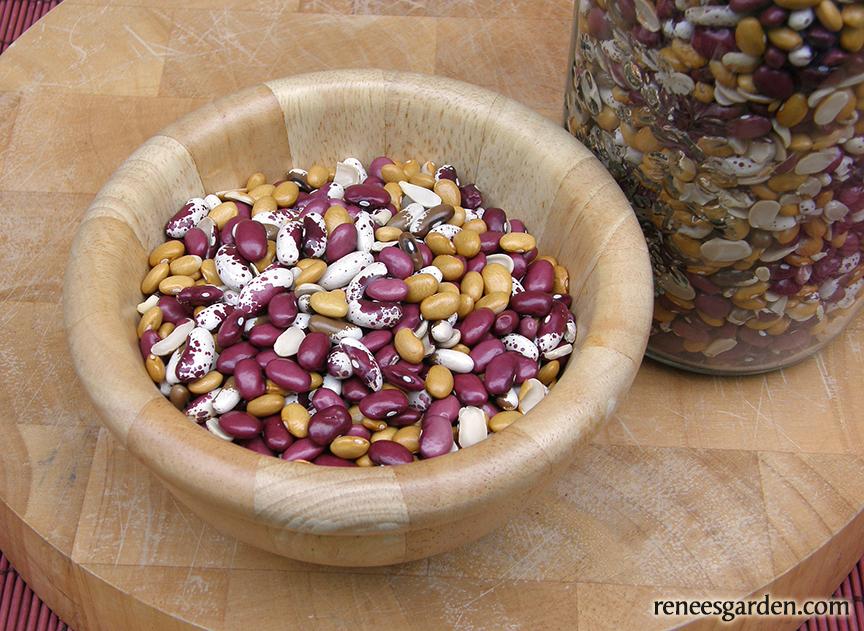 Soup Mix Blend Bush Bean