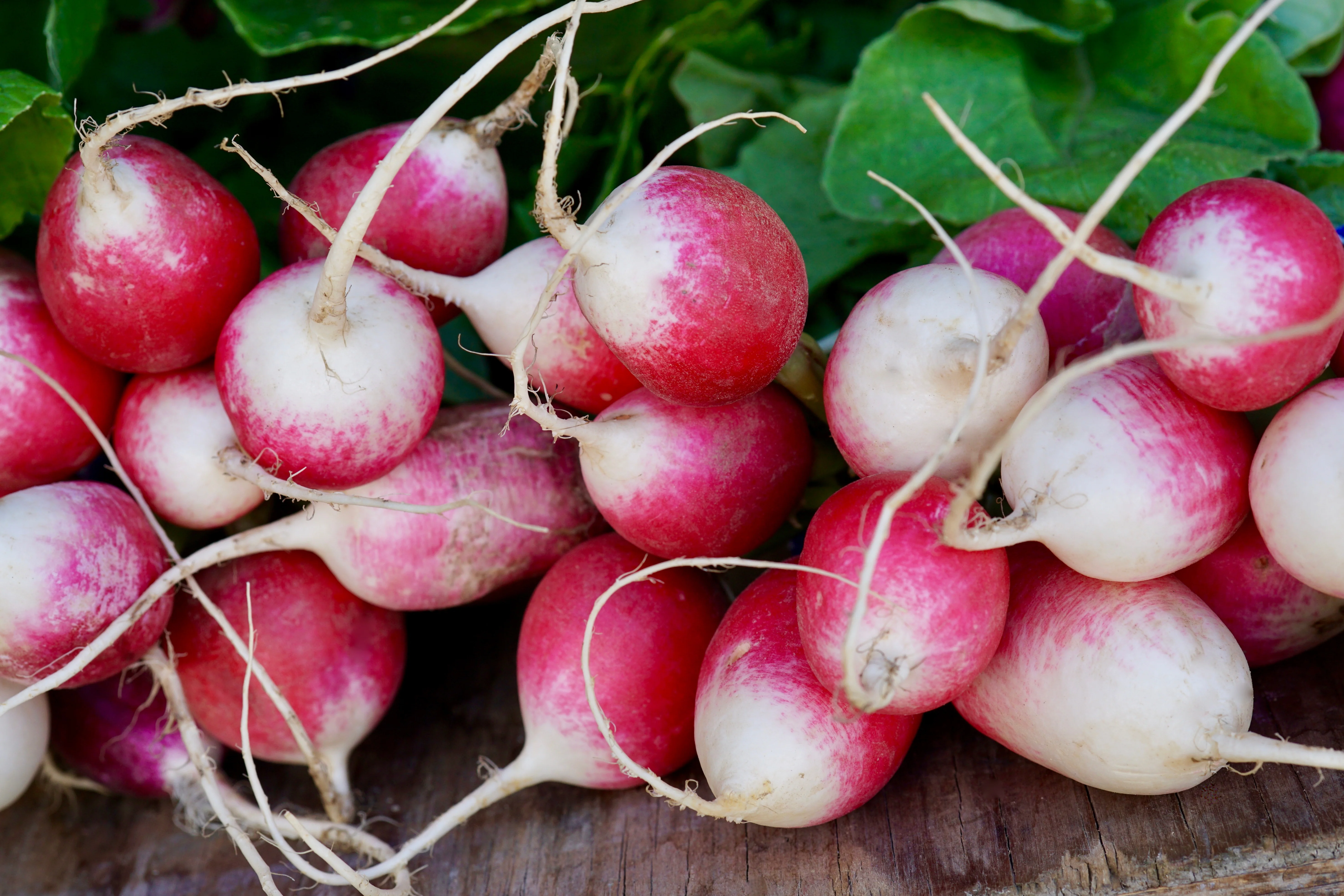 Sparkler Radish Seeds